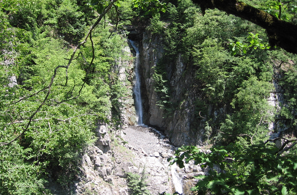 Lush nature in Oghuz